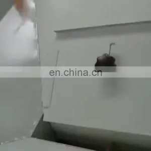 Factory Price Apricot Kernel Cracking Machine thumbnail-1