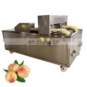 Peach Seed Removing Equipment Peach Nuclear Pitting Machine. thumbnail-3