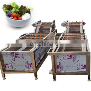 Date Palm Washing Machine Fruits and Vegetables Washing Machine Zone Bubble Washing Machine thumbnail-4