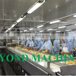 Canned Sweet Litchi Processing Plant / Litchi Processing Machine thumbnail-2