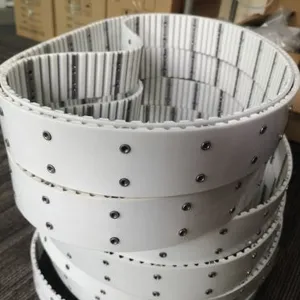 Timing Belt thumbnail-4