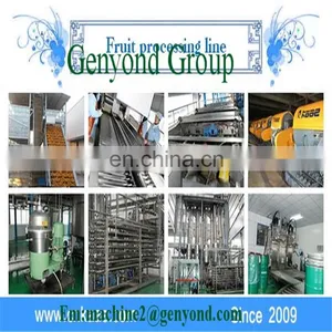 Fruit Leather/Fruit Bar Production Line thumbnail-5