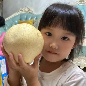 Singo Pear,Fengshui Pear,Ya Pear,Fresh Pear,Fuji Apple thumbnail-2