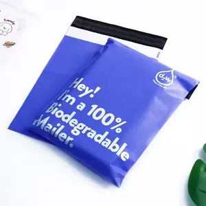 Custom Logo Printing Peach Pink Polymailer Express Mailing Bag Biodegradable Packaging Shipping Poly Mailer Bags for Clothing thumbnail-3
