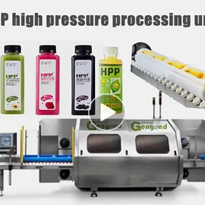 Automatic 57L --200-300KGS/H Hpp Carrot Juice Production Line Carrot Juice Hpp Juice Processing Equipments thumbnail-4