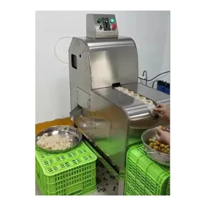 Cherry Dates Wholesale Small Automatic Dates Pitting Machine Olive Cherry Dried Plum Prunes Pitter Stones Removing Machine Date Palm Corer Apricot Plum thumbnail-5