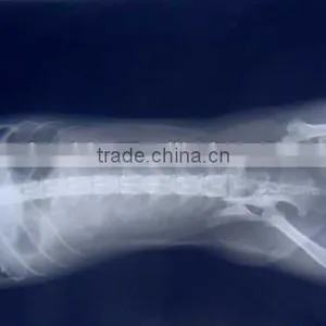 Agfa Film Dt2b, X-ray Film for Chinese Veterinary Instrument thumbnail-1