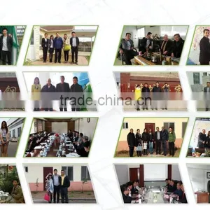 Earthquake Resistance Richter 9 Low Cost Prefabricated Concrete Houses thumbnail-6