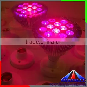 High Lumen Led COB Spotlight 5w Par38 thumbnail-1