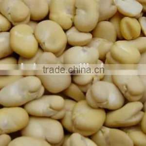 Wet Type Fresh Peanut Red Skin Removing Machine, Roasted Almond Peeling Machine With Low Price thumbnail-5