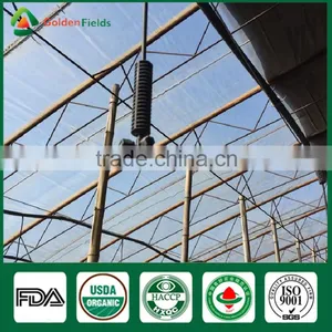 Mushroom Seller Fresh Dried Shiitake Mushroom Growing Log Shiitake Mushroom Spawn for Mushroom Farm thumbnail-5