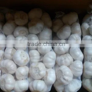 Hot Sales 2016 Garlic From China thumbnail-2