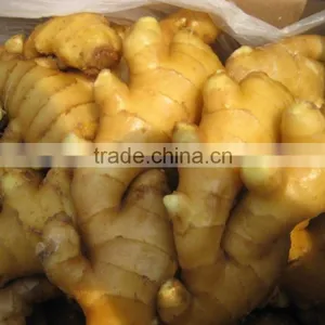 BEST PRICE VIETNAM FRESH GINGER thumbnail-4
