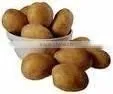 Potato From Pakistan Crop 2010 thumbnail-1