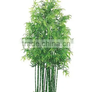 Fake Bamboo Plants Mixed Potted in Pot thumbnail-1