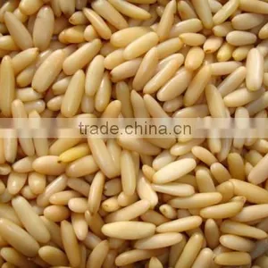 Pine Nuts Kernels , Pine Nuts Without Shell , Pine Nuts Kernel , Chilgoza Kernel , White Pine Nuts thumbnail-1