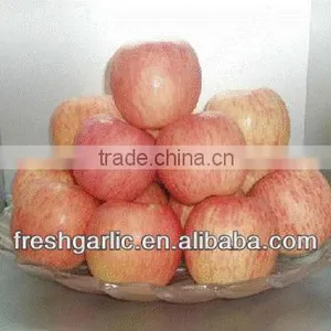 Famous China YanTai Best Price Fresh Fuji Apple thumbnail-4