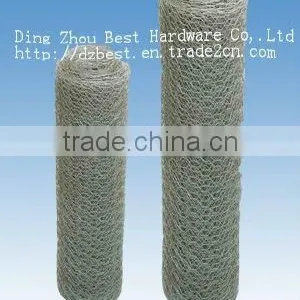 Hot Dipped Galvanized Hexagonal Wire Mesh thumbnail-1