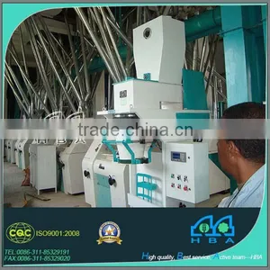Full Automatic Complete Line Make Rice Flour Machine thumbnail-3