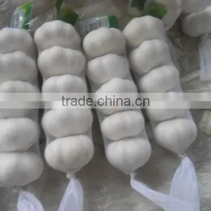 2013 Crop Natural Garlic ,good Quality New Garlic thumbnail-3