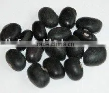 Black Kidney Bean 500-550grains/100g thumbnail-1