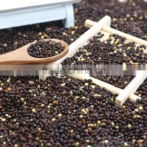 2016 Crop White Red Black Yellow Glutinous Broomcorn Millet Sticky Millet for Bird Feeds thumbnail-3