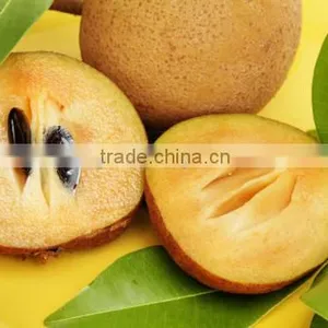 Natural Sapodilla Powder 100 % Water Soluble thumbnail-2