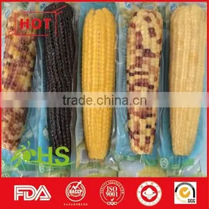 Sweet and Organic Purple Corn for Sale thumbnail-2