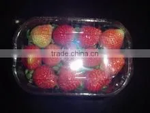Best Egypt Egypt Strawberry thumbnail-1
