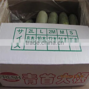 Fresh Radish Suppler From China/Hot Sale Radish/green Radish thumbnail-6