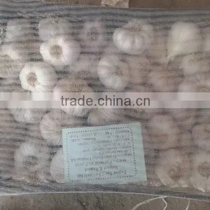 Garlic ( White - Red ) High Quality thumbnail-6