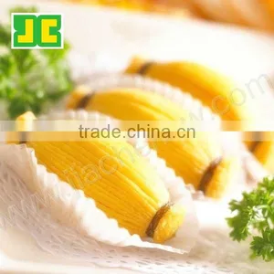 Papaya Extract Powder thumbnail-1