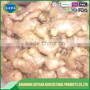 Cheap Price Ginger,dried Ginger Buyer thumbnail-5