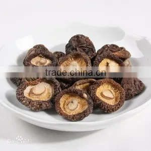 Dried Mushroom thumbnail-1
