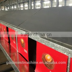 Automatic Nest System/auto Nest System/Poultry Equipment/egg Picking System/chicken Nest/Manual Egg Collection Box thumbnail-4
