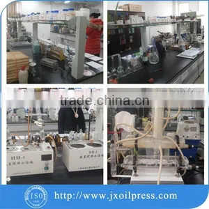 Hot Selling Rapeseeds Oil Production Line thumbnail-5