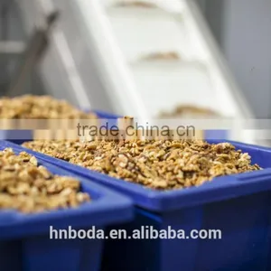 Walnuts Kernal Dryer thumbnail-5