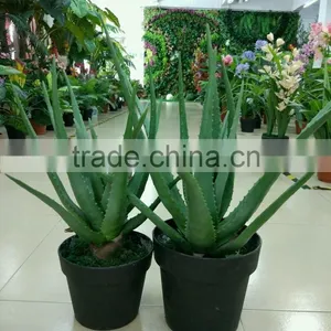 Landscaping Orgament Plant/Artificial Bonsai Plant/fake Aloe Vera Plant thumbnail-2