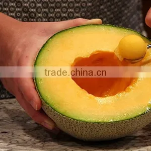 ST-2438 Stainless Steel Fruit Digging Spoon and Fruit Carving thumbnail-4