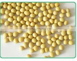 Soybean Fiber thumbnail-1