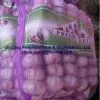 China Fresh Garlic thumbnail-1