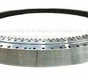 Double Row Ball Slewing Bearing for Ferris Wheel thumbnail-1