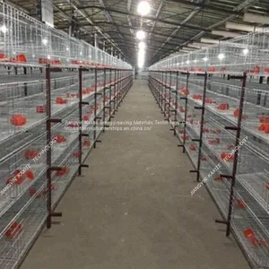PP Poultry Farm Manure Belt Automatic Manure Removal System thumbnail-5