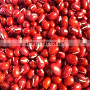 Organic Adzuki Bean thumbnail-1