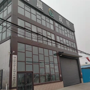 Shandong Brother Artificial Leather Co.,LTD company overview - view 1 thumbnail