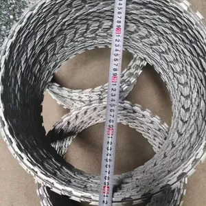 Razor Wire Stainless Steel Roller Cage Anti Rust Protection Barbed Wire Barbed Wire Anti Theft Anti Climbing Barbed Wire Fence Anti Climbing Mesh thumbnail-1