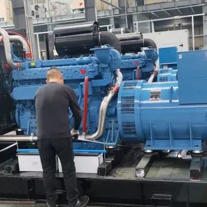 Customized Color Silent Diesel Generator Customer Demand Custom Genset thumbnail-3