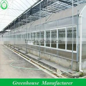 Multi-span Agricultural Greenhouses thumbnail-1