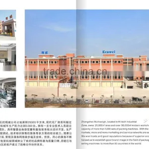 Check Weigher for Food Bags Packaging Machine thumbnail-5