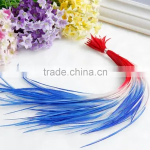 New Arrival Beautiful Ombre Real Hair Feather Extension thumbnail-1